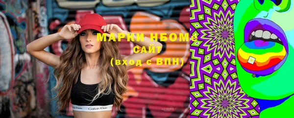 шишки Баксан