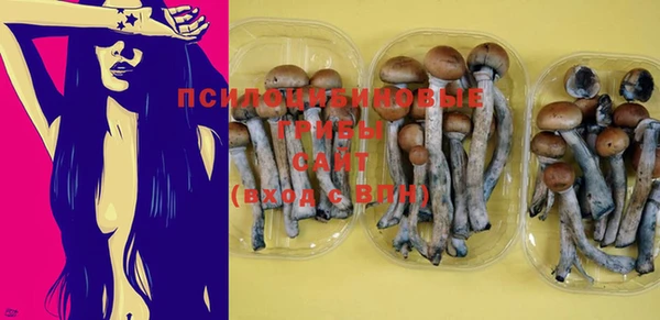 шишки Баксан